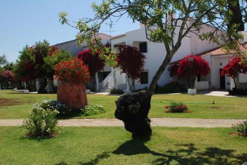 Pedras Del Rei Studio Tavira Exterior foto